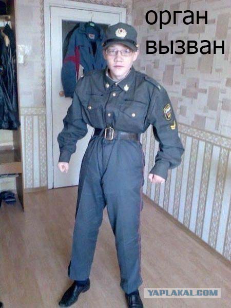 Картинки