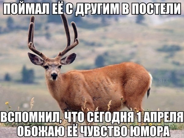 Веселости которые встретились сегодня