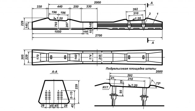 Последние 1000 лет