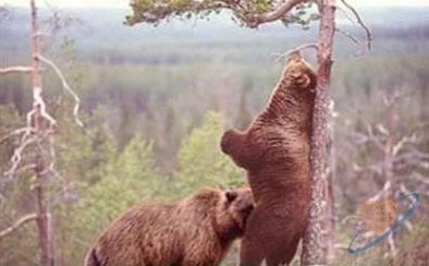 Немного об измене
