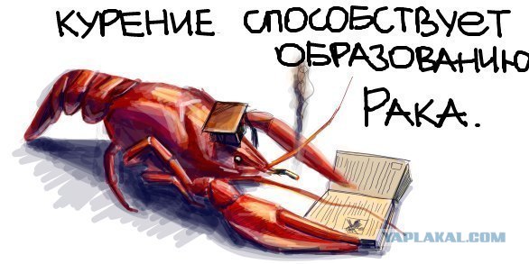И не придерёшься...