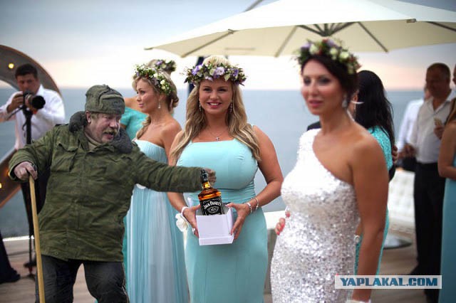 Фотожаба: Кыш!