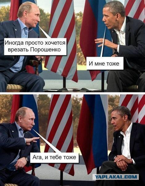 Генассамблея. Реакция в соцсетях