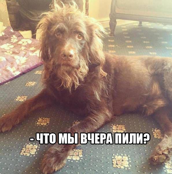 Утро после корпоратива.