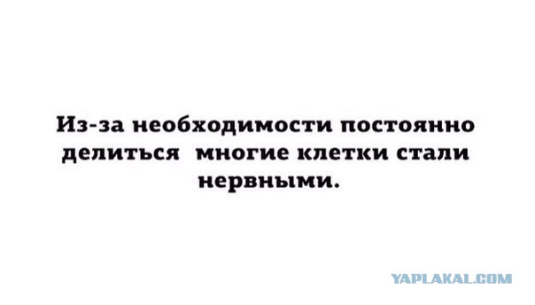 Посидим, потрещим