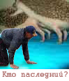 Фотожаба: ползун