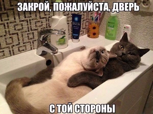 Картинки и демотиваторы