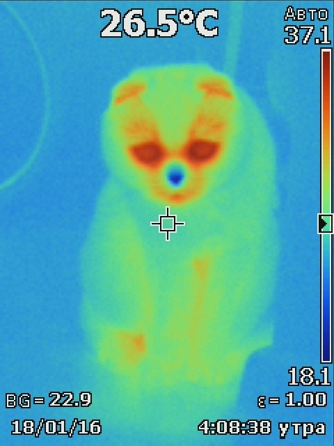 Когда взял попробовать тепловизор