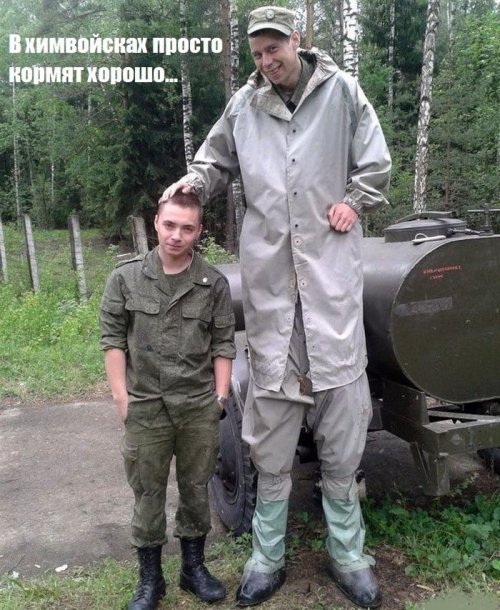 Подборка картинок