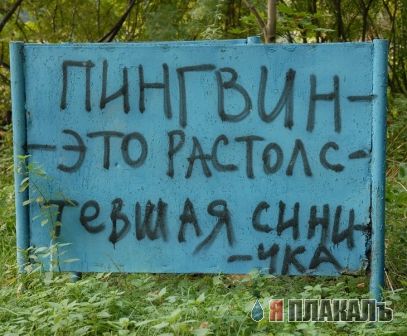 ВЫВЕСКИ, ТАБЛИЧКИ. Смешные и прикольные