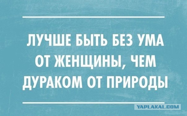 29 юморных открыток