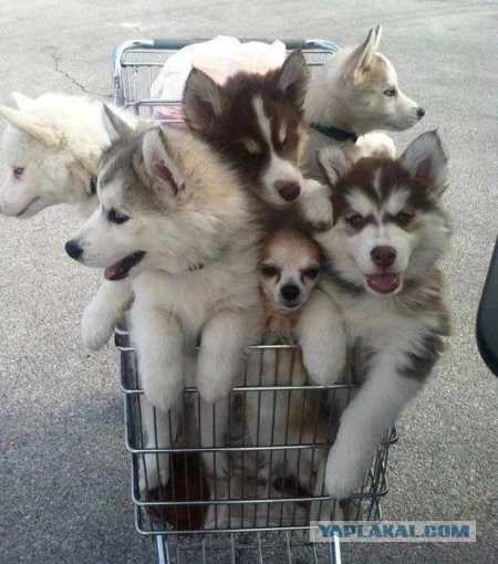 Картинки разные