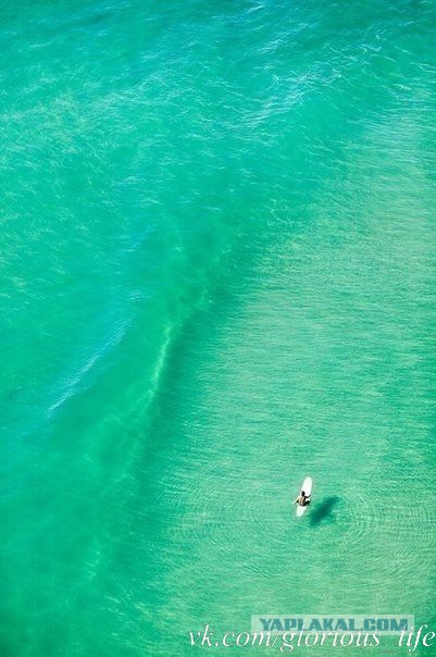 Подборка картинок 29.03.16