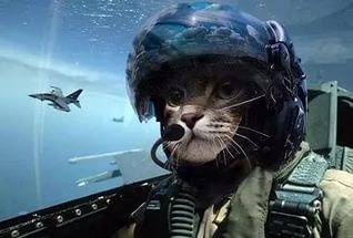 Сотрудники СБУ сбили российский беспилотник "Орлан-10" в районе Авдеевки