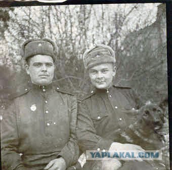 Фотографии военных лет