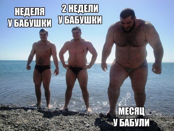 Порция картинок из сети