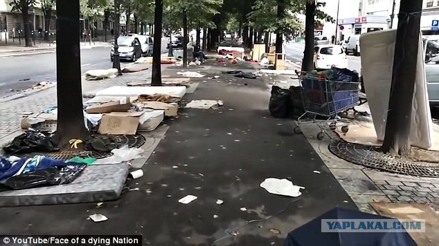 Полиция Франции разгромила лагерь беженцев в Париже