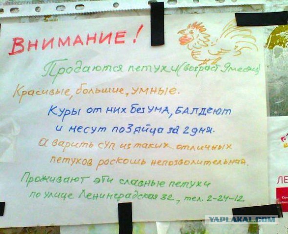 Подборка интересных и веселых картинок
