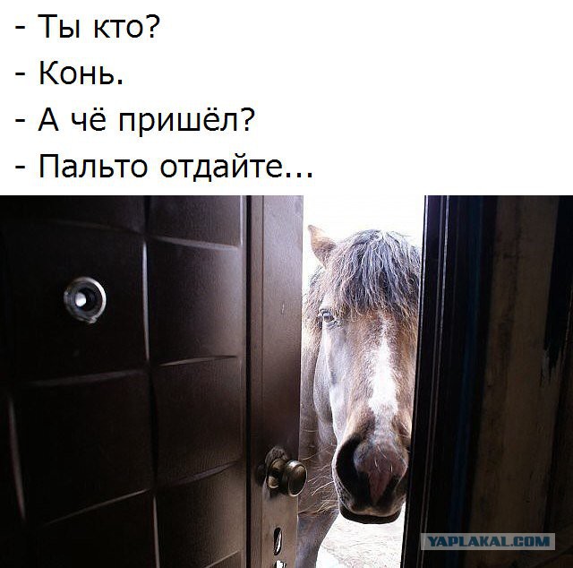Смешные комментарии из социальных сетей 16.12.2016