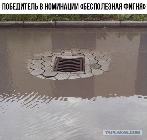 Подборка интересных и веселых картинок