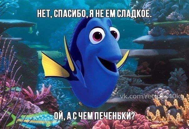 Картинки из интернетов