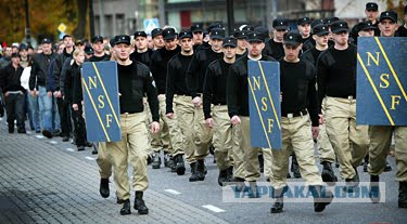 Шведская полиция потеряла контроль над Мальмё
