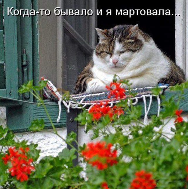 Картинок разных