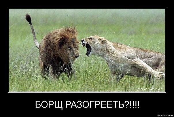 12 правил выбора правильной жены