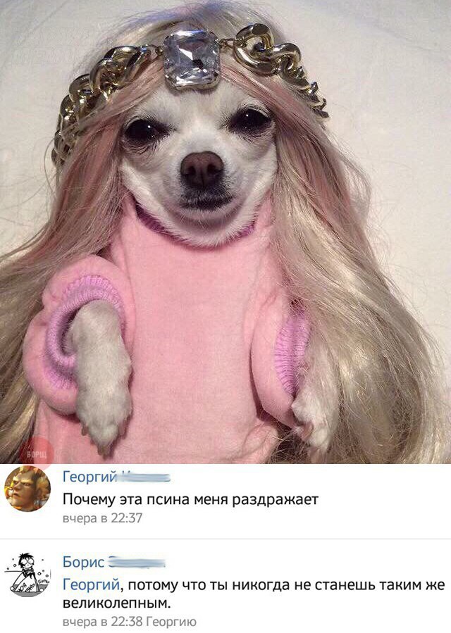 150 картинок для поднятия настроения!