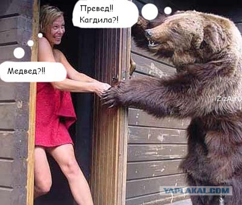 Мишки любят девушек