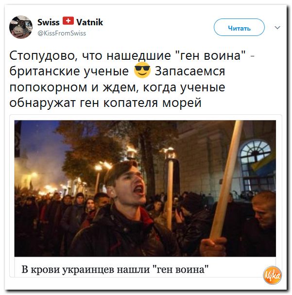 Шо Опять? Прямые трансляции майдана в Киеве