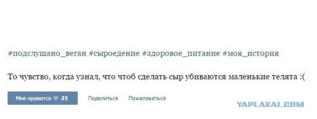 Я тебе говорил, что такое БЕЗУМИЕ!? Часть 2