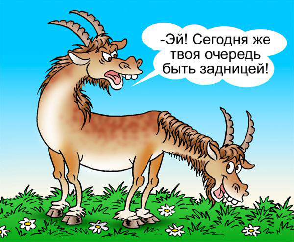 Пожарка котопес