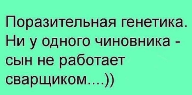 «Это путь к социальной и политической катастрофе». Дети элиты во власти