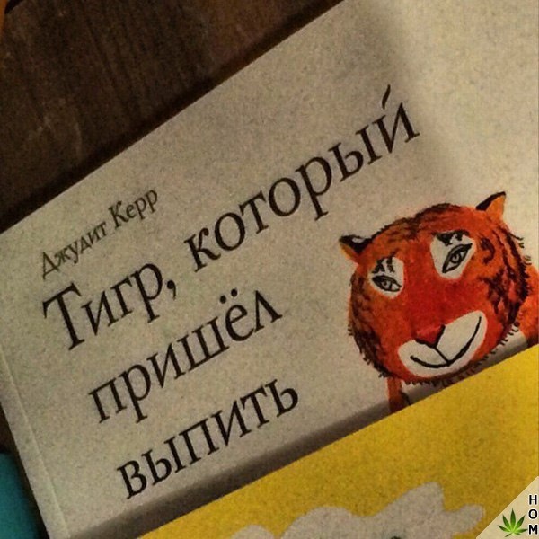 Прикольные надписи и объявления