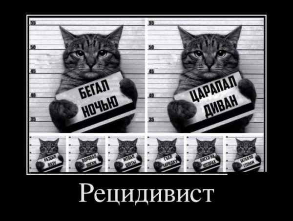 Побег почти удался