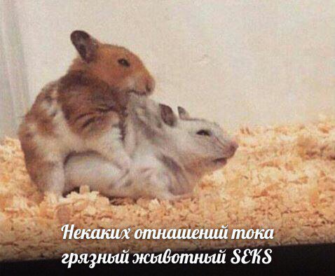Немного картинок на вечер