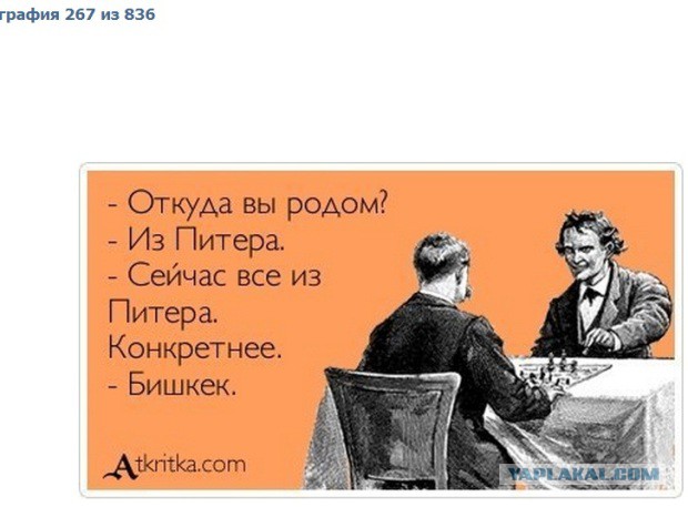 Литературные и не только термины в примерах