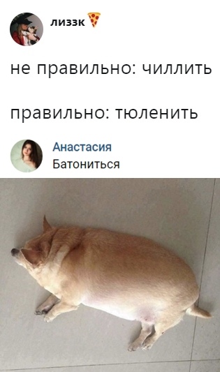 Прикольные картинки абавсём