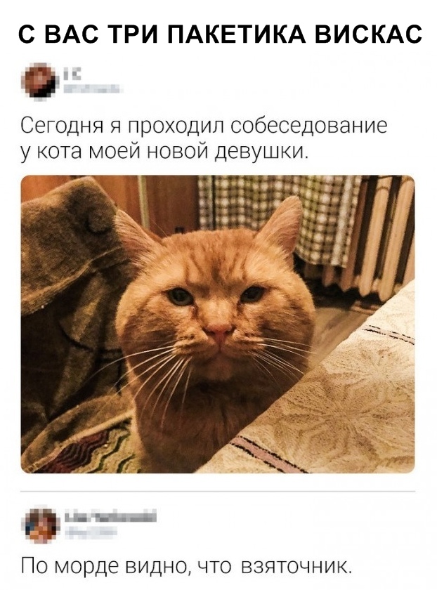 Нестандартный юмор