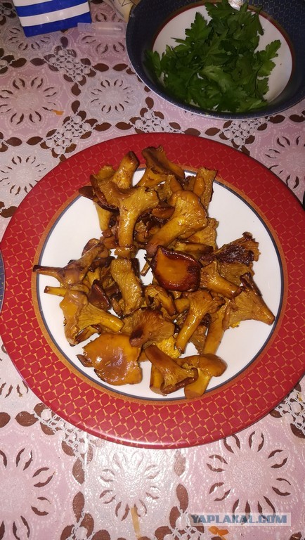 Аццкая кухня 3  (Кулинарный адъ)