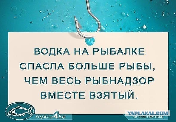 Едем на рыбалку! Рыбаки не поймут. А вот настоящие рыбаки поймут