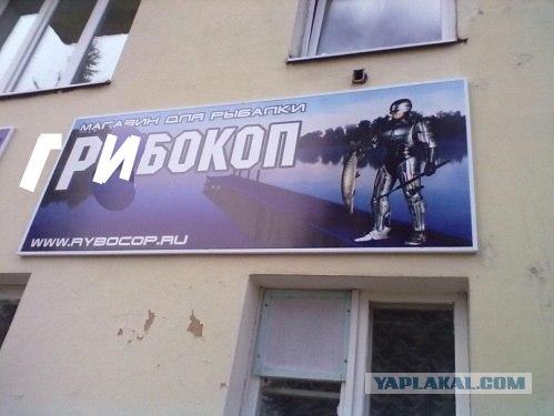 Рыбокоп - это инспектор рыбнадзора?