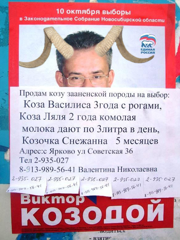 Продам козу