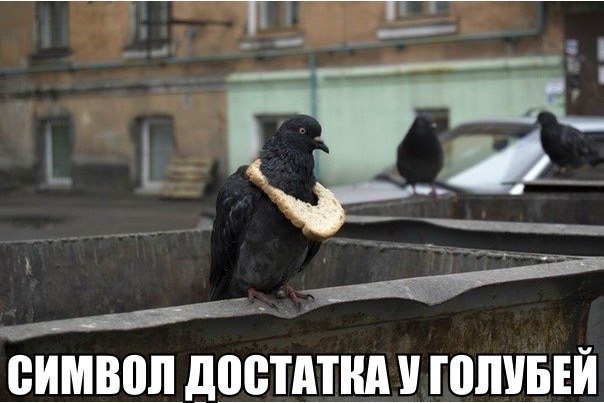Древние мемы с ВК. Для тех кто забыл #3