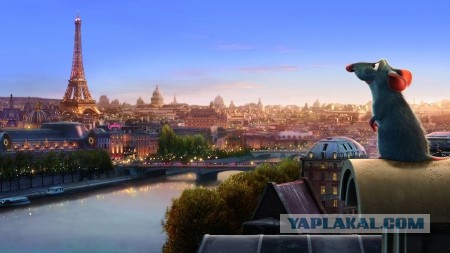 20 фото из городов, в которых делают все для удобства жителей