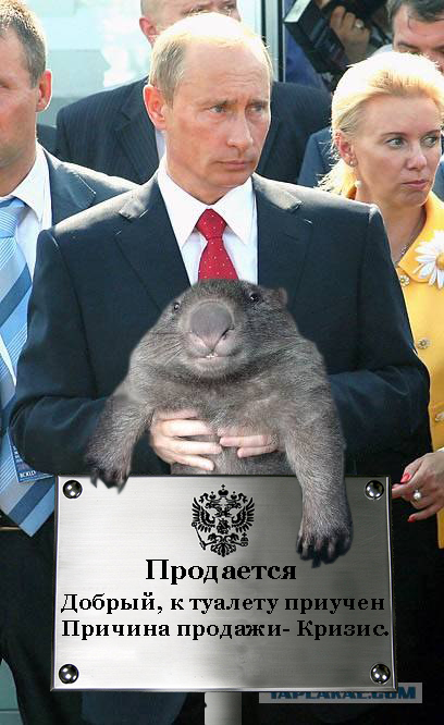 Фотожаба: Путин и зверь