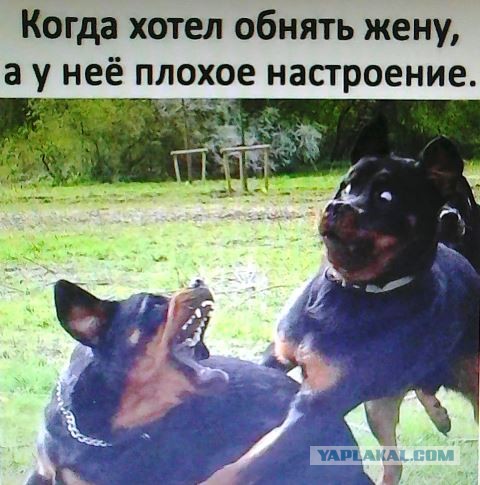 Фотки и картинки: юморные и красивые, забавные и милые 19.10.20