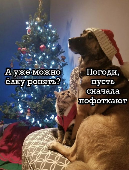 Картинки, соцсети, и всякие жизненные фразы