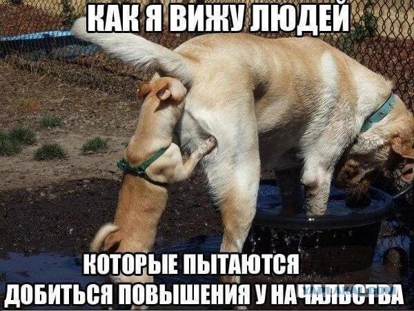 Весёлый полтишок 14.02
